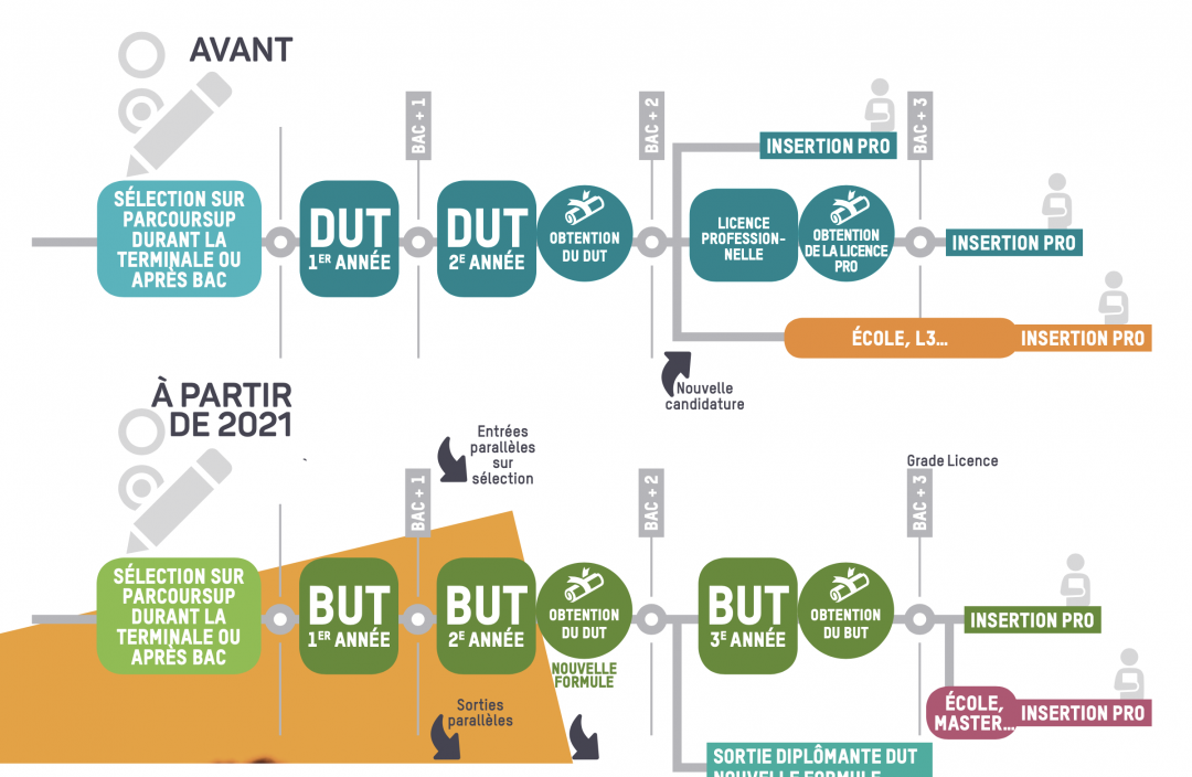 Infographie comparative entre DUT et BUT