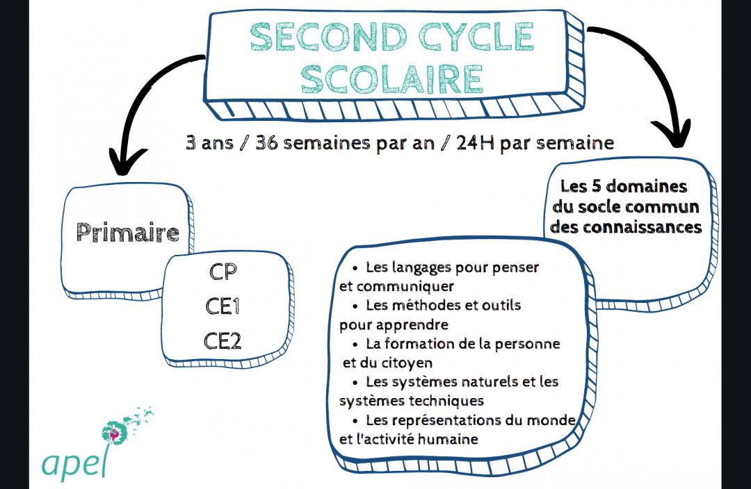 Comment s’organise le début du second cycle scolaire