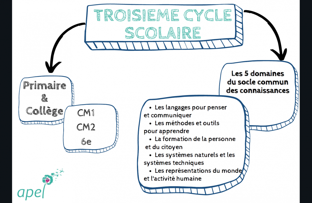 Comment s’organise le troisième cycle scolaire