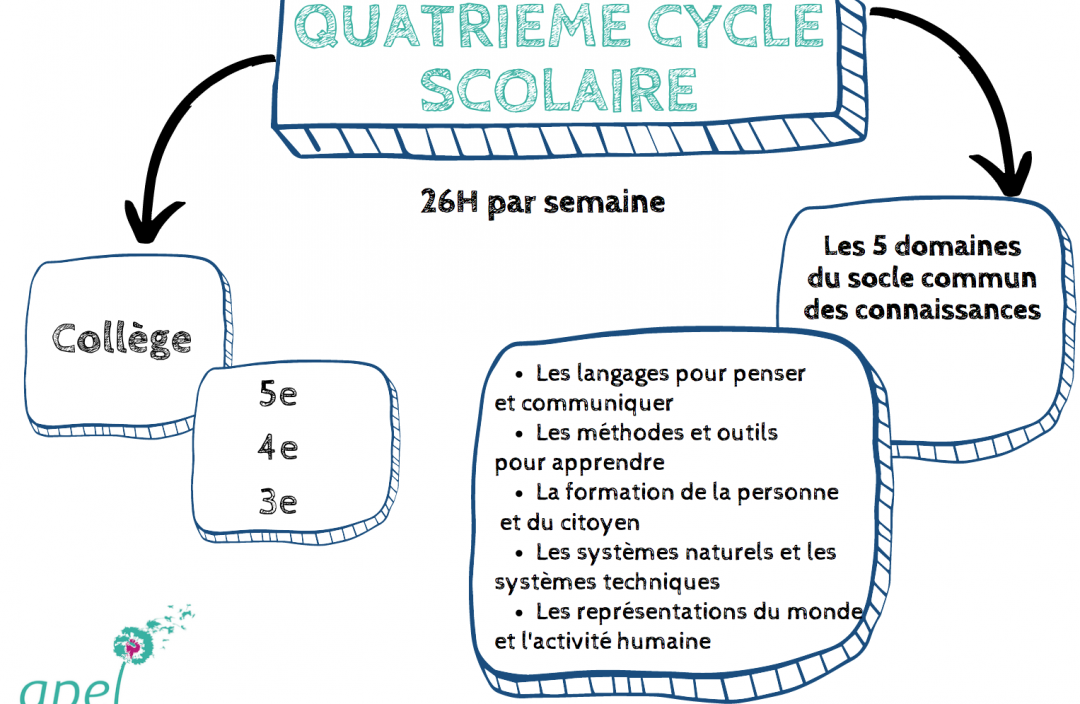 Comment s’organise le quatrième cycle scolaire