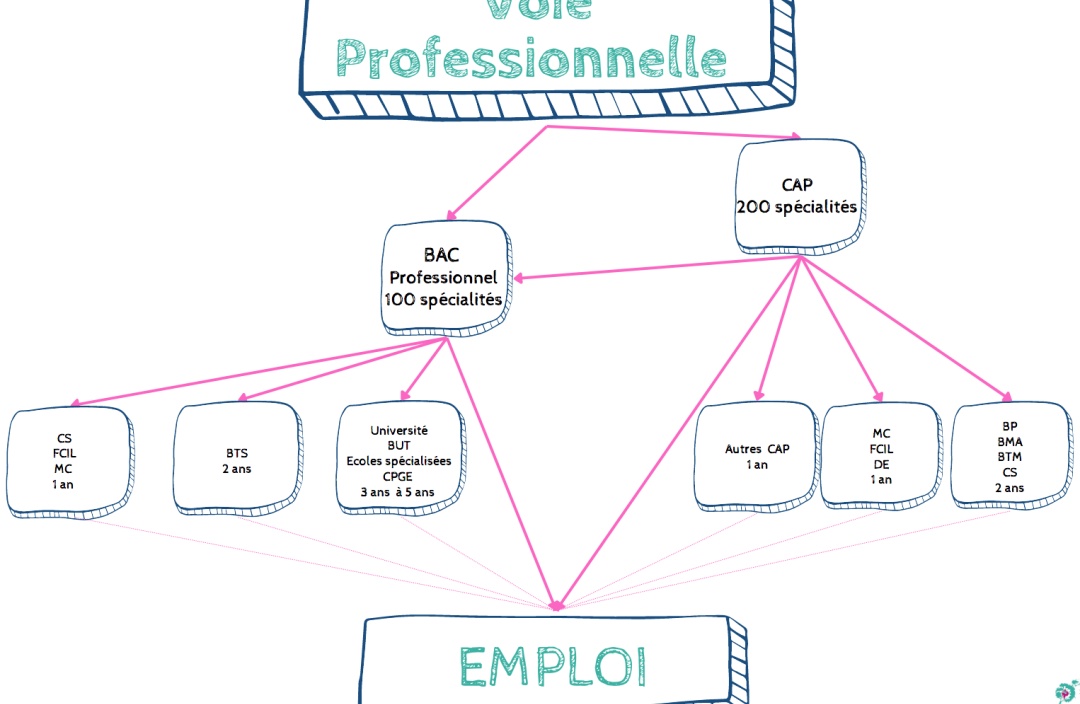 Quelles études supérieures sont accessibles aux bacheliers qui ont suivi la voie professionnelle